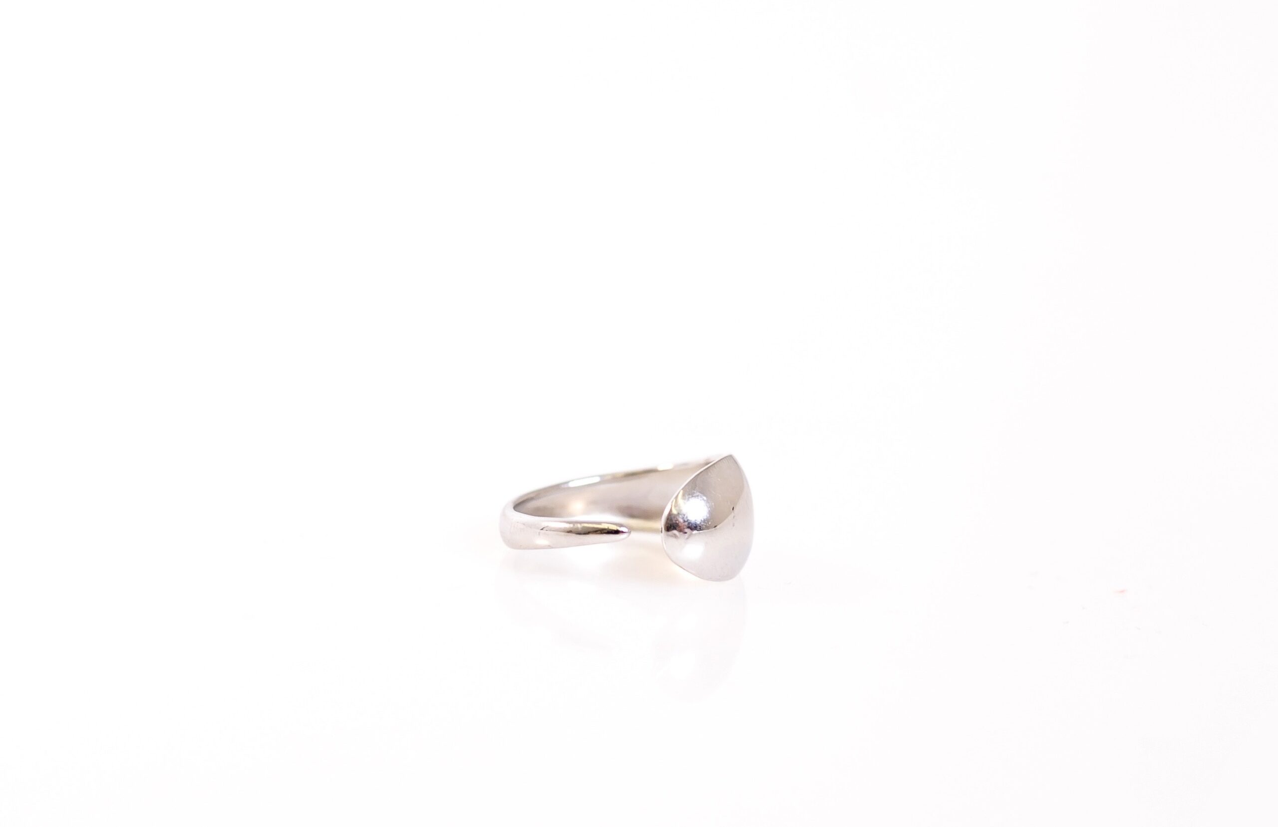 IMG_2555 Lyss - Image 1